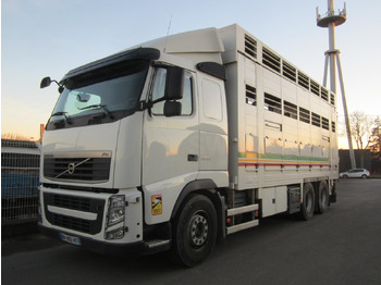 Camión transporte de ganado VOLVO FH 460