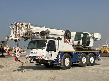 Grúa todo terreno TEREX