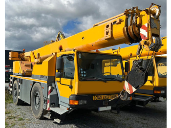 Grúa todo terreno LIEBHERR LTM 1030/2