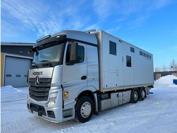 Camión transporte de ganado MERCEDES-BENZ Actros