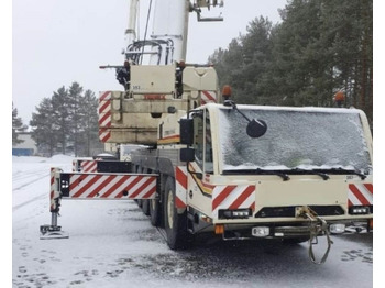 Grúa todo terreno TEREX