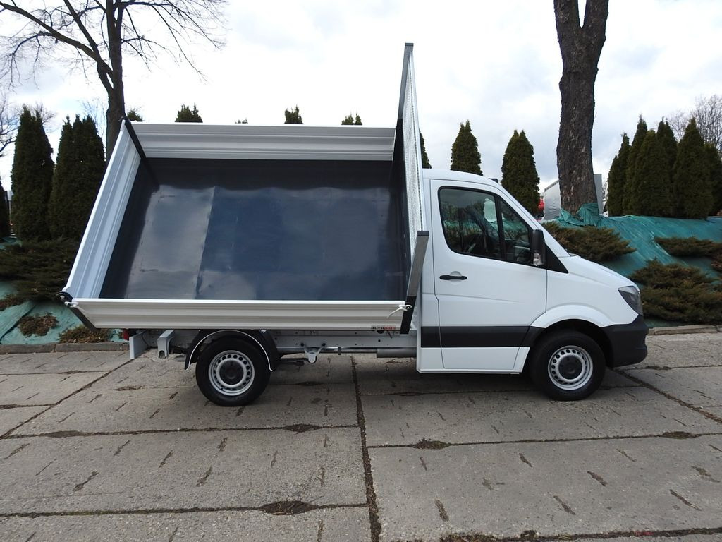 Furgoneta basculante Mercedes-Benz SPRINTER 316 THREE-WAY TIPPER A/C TEMPOMAT: foto 9