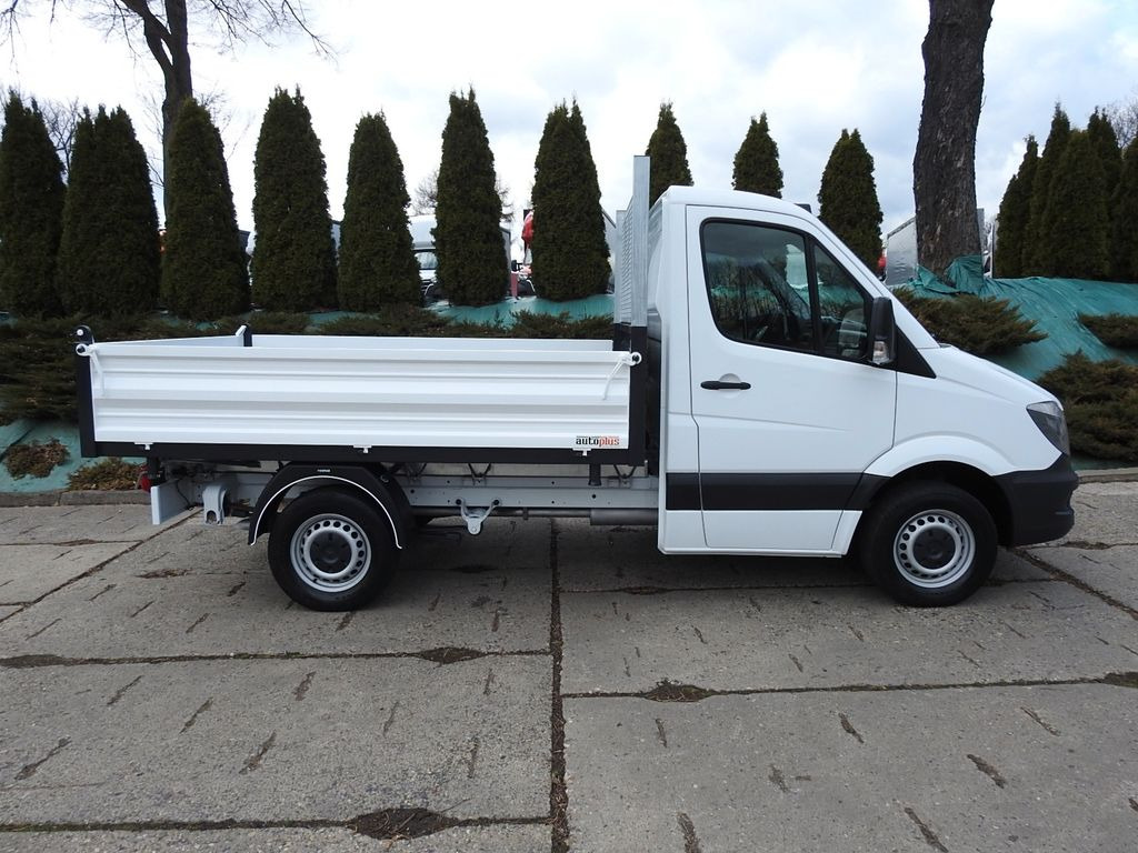 Furgoneta basculante Mercedes-Benz SPRINTER 316 THREE-WAY TIPPER A/C TEMPOMAT: foto 7