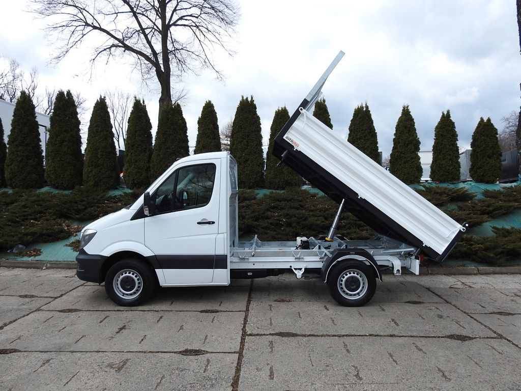 Furgoneta basculante Mercedes-Benz SPRINTER 316 THREE-WAY TIPPER A/C TEMPOMAT: foto 8