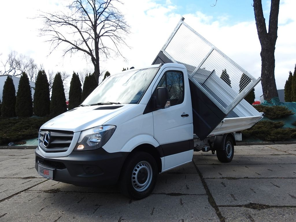 Furgoneta basculante Mercedes-Benz SPRINTER 316 THREE-WAY TIPPER A/C TEMPOMAT: foto 18