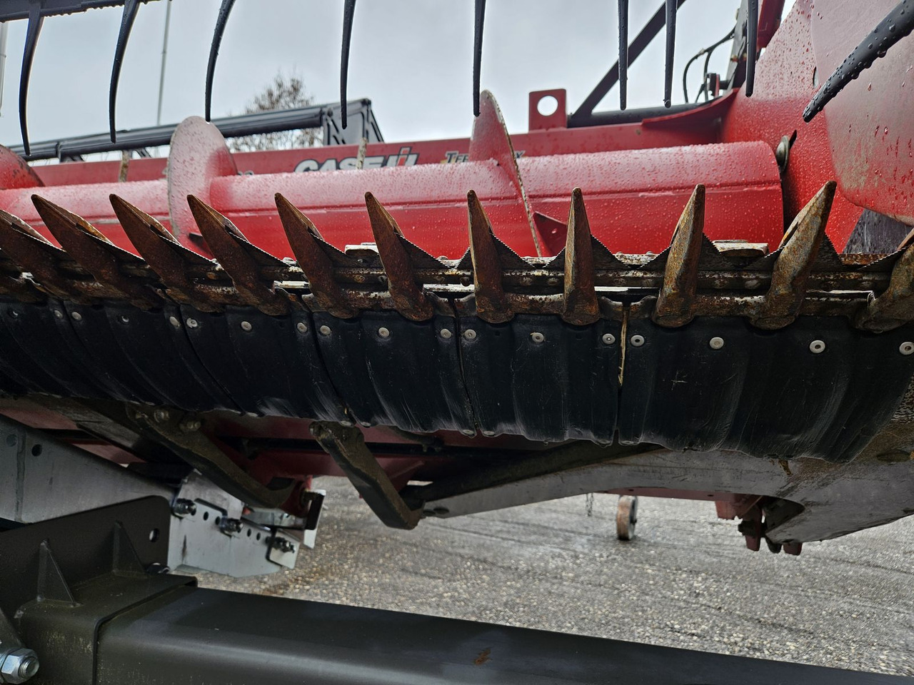 Cabezal de grano Case IH 3020 20Ft: foto 6