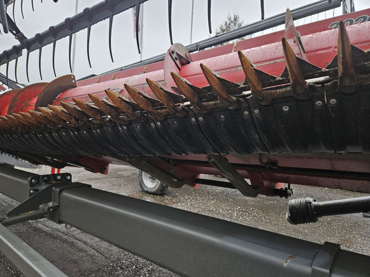 Cabezal de grano Case IH 3020 20Ft: foto 7